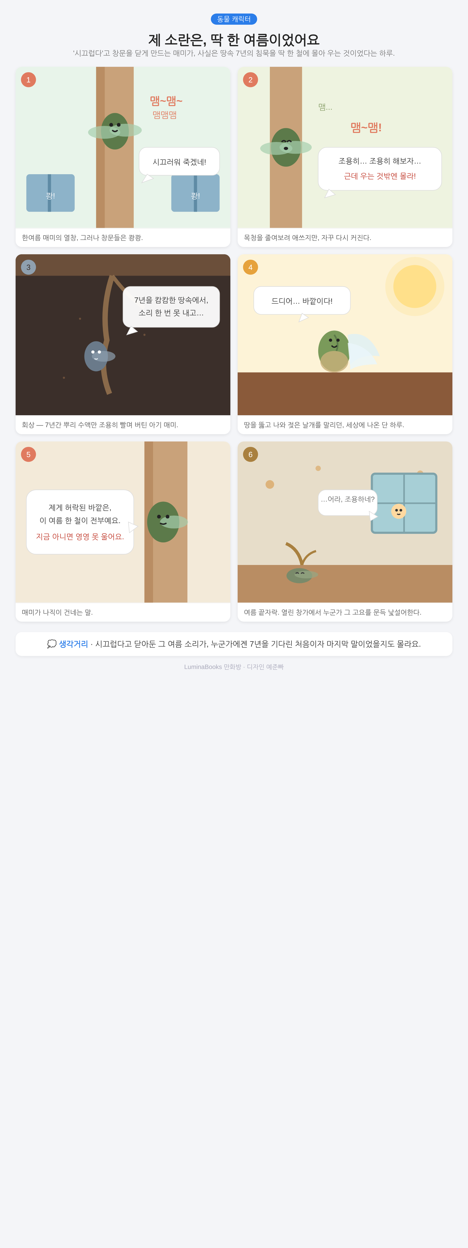 제 소란은, 딱 한 여름이었어요